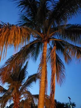 Manatee Sanctuary Park in the Evening, Cape Canaveral, Florida Stock Photos