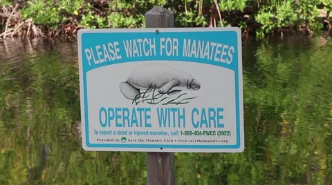 Manatee sign Видео 52751015