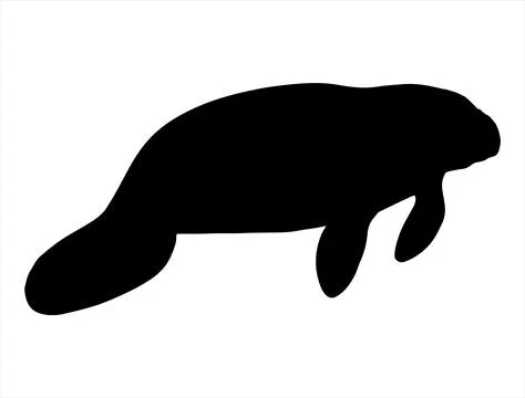 Manatee silhouette vector art Stock Illustration