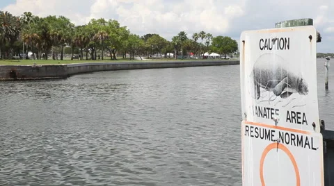 Manatee Warning Sign Scenic B-Roll St. Petersburg FL Stock Footage 40953870