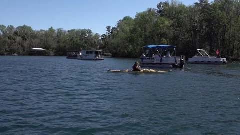 Manatee watching Stock Footage 125817194