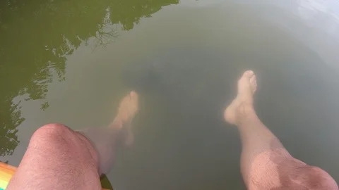 Manatees in Florida Stock Footage 93325723