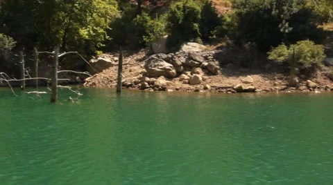 Manavgat dead trees Stock Footage 44418802