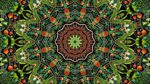 Mandala 2D Kaleidoscope 19 version Stock-Footage 259555258