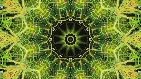 Mandala 2D Kaleidoscope 27 version Stock Footage 259555766