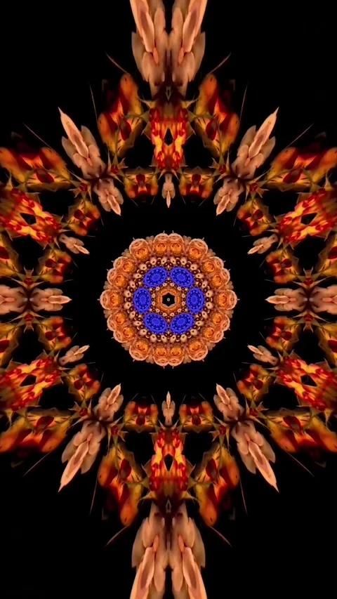 Mandala Art Colorful Circular Pattern With Many Different Colors Video Stock Footage 330767070