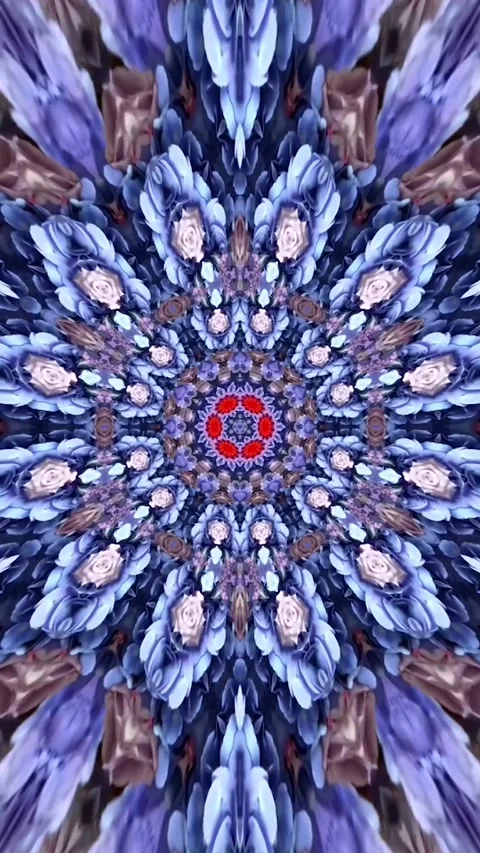 Mandala Art Colorful Circular Pattern With Many Different Colors Video Stock Footage 330767264