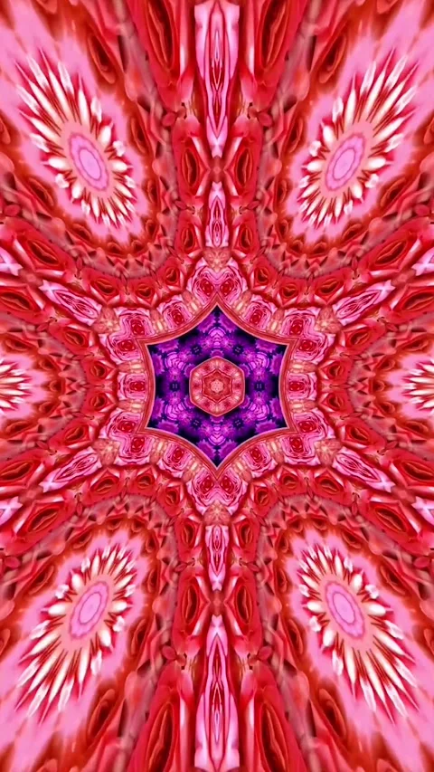 Mandala Art Colorful Circular Pattern With Many Different Colors Video Stock Footage 330767676
