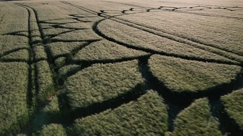 Mandala Crop Circle, 4K Close-Up Drone Clip, Potterne, Wiltshire, 7th June 2023 Stock Footage 265052719