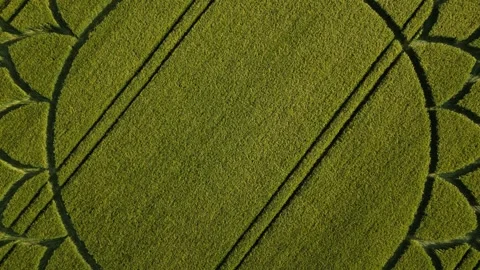 Mandala Crop Circle Beautiful 4K Drone Clip, Potterne, Wiltshire, 7th June 2023 Stock Footage 265017953