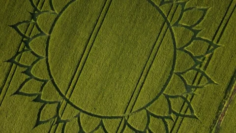 Mandala Crop Circle, Gliding 4K Drone Clip, Potterne, Wiltshire, 7th June 2023 Stock Footage 265014646