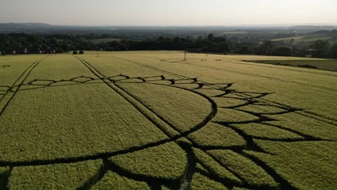 Mandala Crop Circle, Stunning 4K Drone Clip, Potterne, Wiltshire, 7th June 2023 Stock Footage 265016314