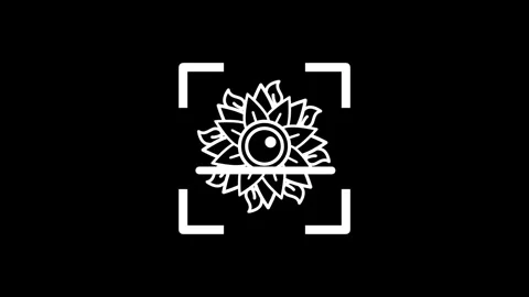 Mandala Flower Stock Footage 334188806