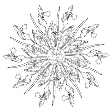 Mandala with irises Illustrazione stock