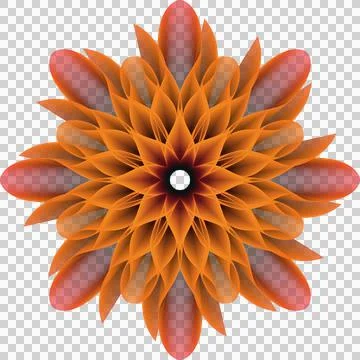 Mandala orange flower Illustrazione stock