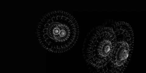 Mandala Pattern in Black Background: Geometric Abstract Fractal Art Design .. Stock Footage 341778662