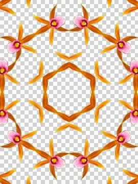 Mandala Phaius Stock Illustration