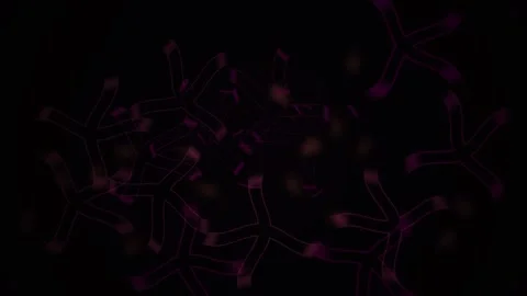 Mandala Purple Geometric Pattern Spinning on Dark Background for Creative G.. Vídeo Stock 343729384