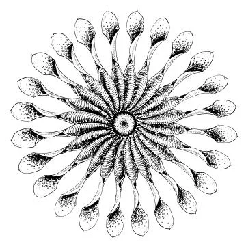 Mandala snowflake pattern gentle Stock Illustration