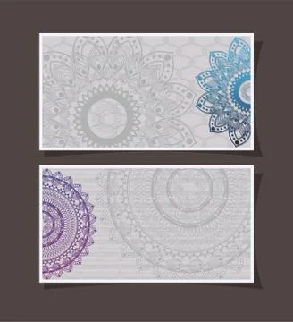 Mandalas cards frames on gray background vector design Stock Illustration