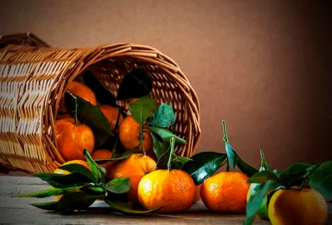 The Mandarin in the basket. Stock Photos