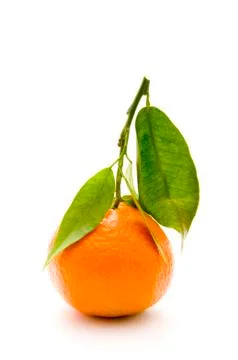 Mandarin on branch Stock Photos