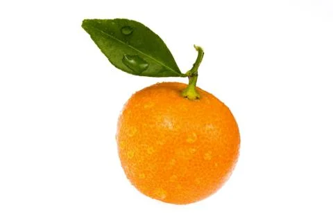Mandarin, calamondin Stock Photos
