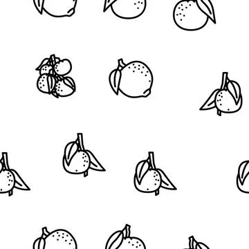 Mandarin citrus fruit vector seamless pattern Illustrazione stock