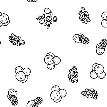 Mandarin clementine orange fruit vector seamless pattern Stock Illustration