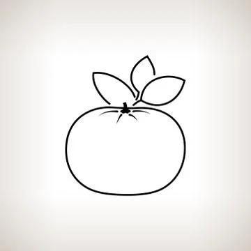 Mandarin in the Contours Stock Illustration