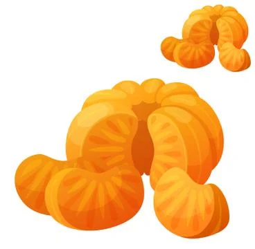 Mandarin. Detailed Vector Icon isolated on white background Illustrazione stock