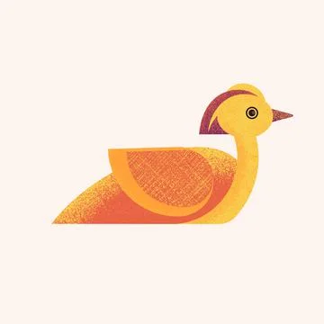 Mandarin duck. Postcard. Illustration. 스톡 일러스트