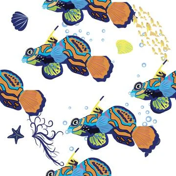 Mandarin fish seamless patterns. beautiful character among seashells, seaweed Stock Illustration
