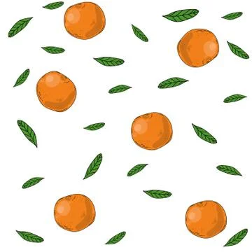 Mandarin flat hand drawn illustration. Green leaves, cartoon citrus fruits on a Stock Illustration