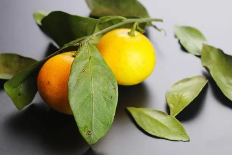 Mandarin fruit isolate black Stock Photos