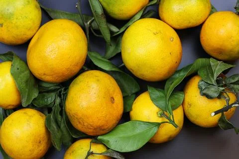 Mandarin fruit isolate black Stock Photos