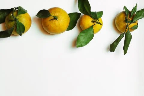 Mandarin fruit isolate white Stock Photos