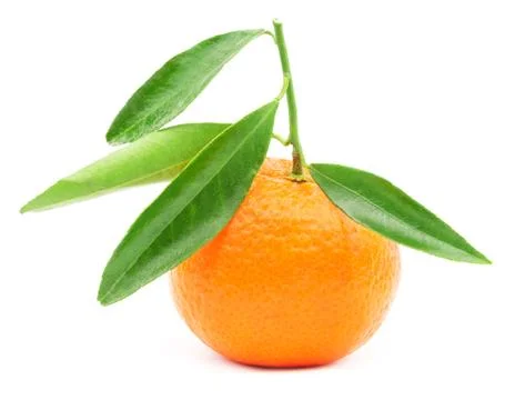 Mandarin fruit with leaf isolated on white Stock Photos