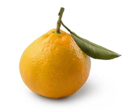 Mandarin fruit 스톡 사진