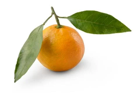 Mandarin fruit 스톡 사진