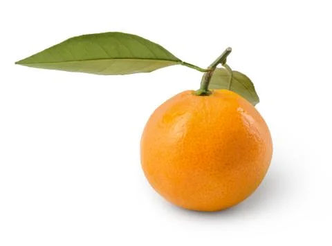 Mandarin fruit 스톡 사진