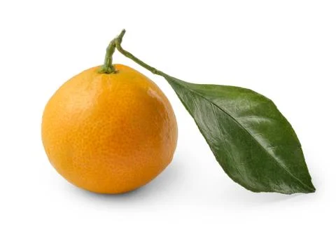 Mandarin fruit Stock Photos