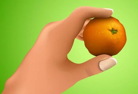 Mandarin in the hand Stock Illustration