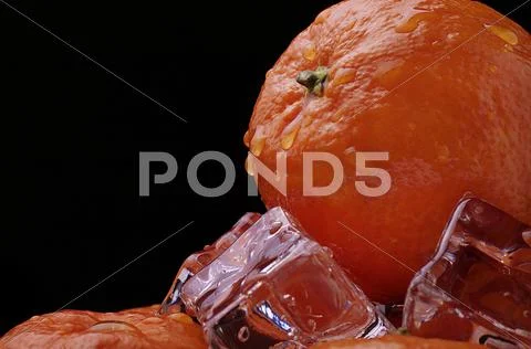 Mandarin ice7 Stock Photos