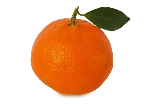 Mandarin isolated leaf slice Stock Photos