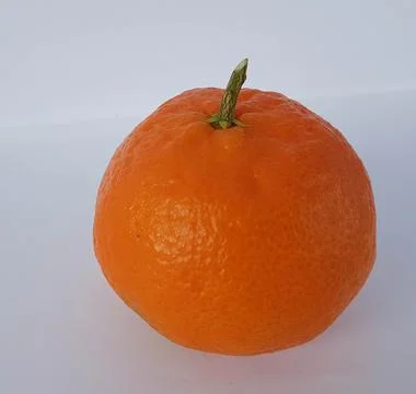 Mandarin isolated leaf slice Stock Photos