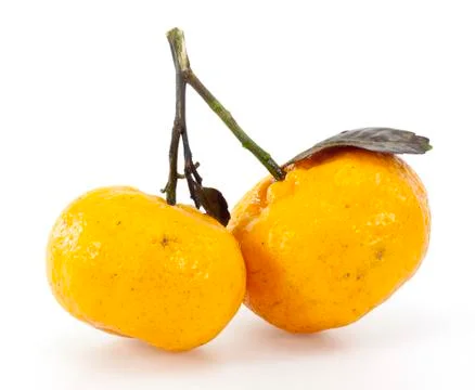 Mandarin isolated on white background Stock Photos