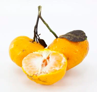 Mandarin isolated on white background Stock Photos