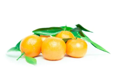 Mandarin isolated on white Stock-Fotos