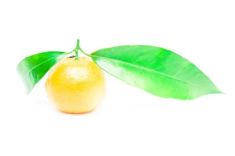 Mandarin isolated on white Stock-Fotos